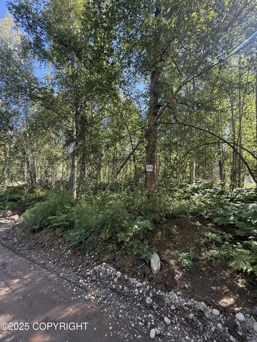 48321 S Dolly Varden Drive, Willow, AK 99688