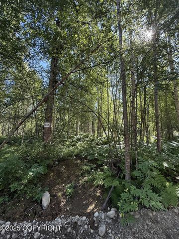 48321 S Dolly Varden Drive, Willow, AK 99688