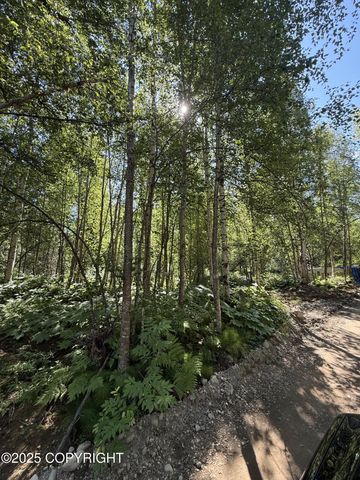 48321 S Dolly Varden Drive, Willow, AK 99688