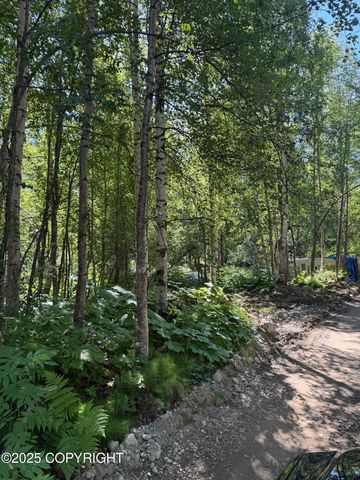 48321 S Dolly Varden Drive, Willow, AK 99688