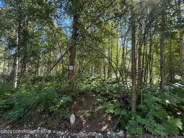 48321 S Dolly Varden Drive, Willow, AK 99688