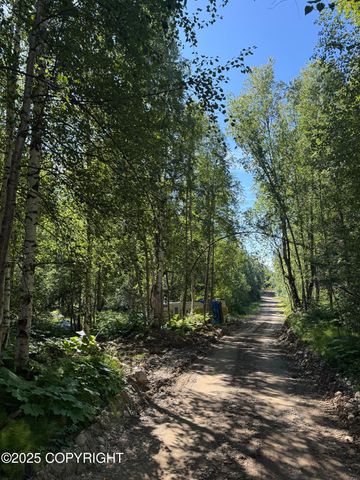 48321 S Dolly Varden Drive, Willow, AK 99688