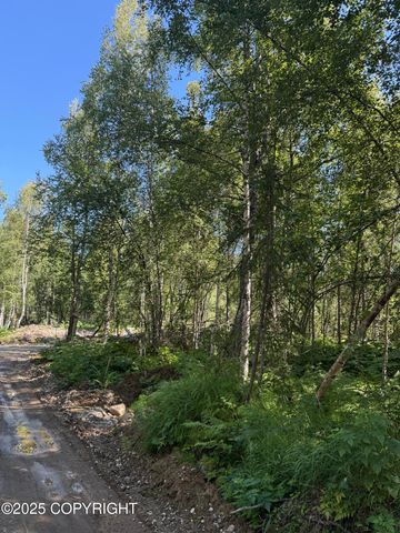 48321 S Dolly Varden Drive, Willow, AK 99688