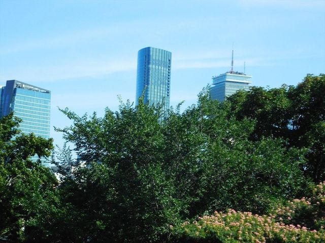 41 Greenwich St, Boston, MA 02120