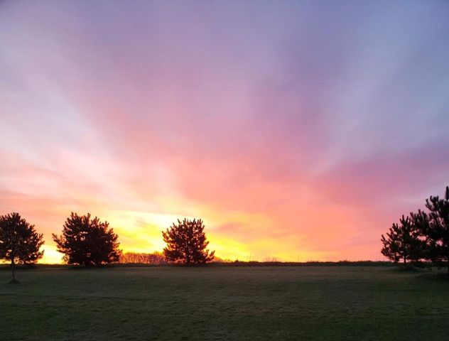 848 WILDROSE LANE, Sobieski, WI 54171