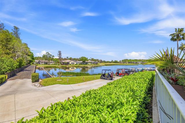 11134 WEDGEMERE DRIVE, Trinity, FL 34655