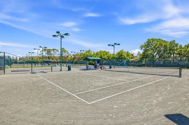 11134 WEDGEMERE DRIVE, Trinity, FL 34655