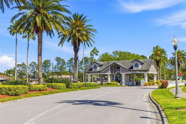 11134 WEDGEMERE DRIVE, Trinity, FL 34655