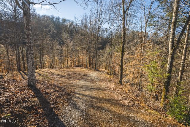 637 Jacobs Hollow Road, Sneedville, TN 37869