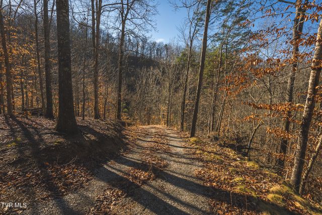 637 Jacobs Hollow Road, Sneedville, TN 37869