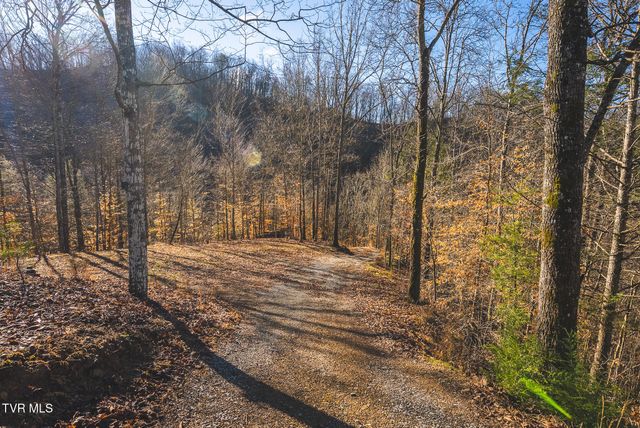 637 Jacobs Hollow Road, Sneedville, TN 37869