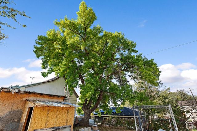 525 E 200 N, Pleasant Grove, UT 84062