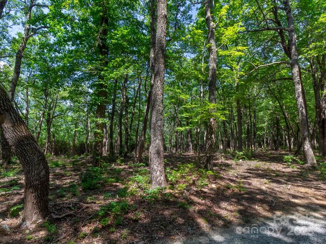 77 Misty Dawn Cove 4A, 5A & 13A, Hendersonville, NC 28792