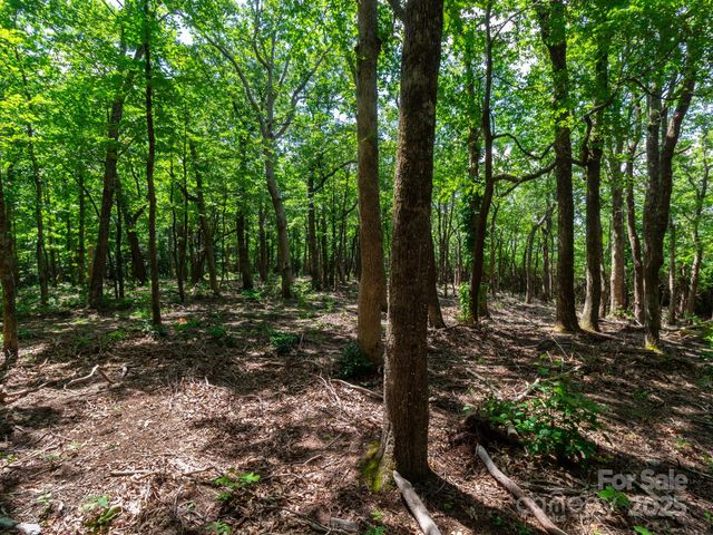 77 Misty Dawn Cove 4A, 5A & 13A, Hendersonville, NC 28792