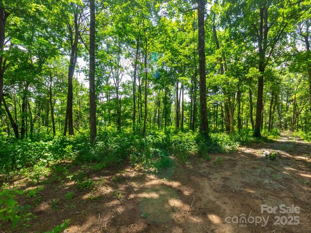 77 Misty Dawn Cove 4A, 5A & 13A, Hendersonville, NC 28792