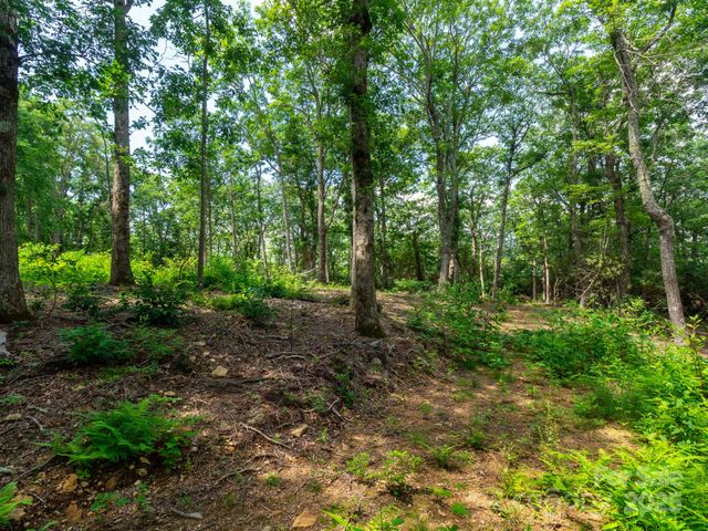 77 Misty Dawn Cove 4A, 5A & 13A, Hendersonville, NC 28792