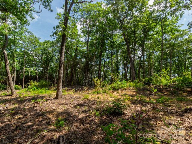 77 Misty Dawn Cove 4A, 5A & 13A, Hendersonville, NC 28792