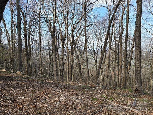 77 Misty Dawn Cove 4A, 5A & 13A, Hendersonville, NC 28792