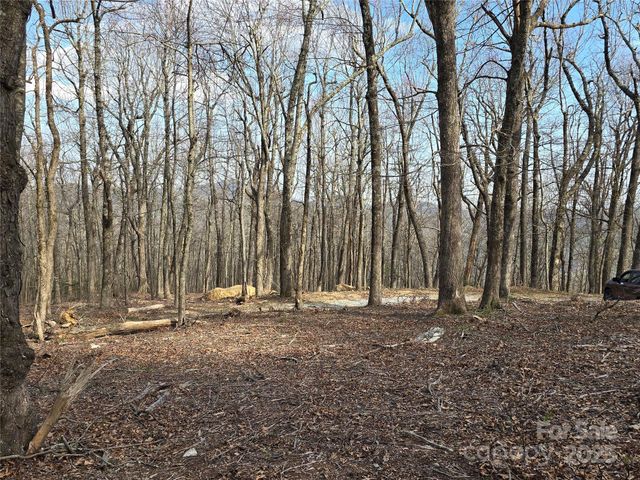 77 Misty Dawn Cove 4A, 5A & 13A, Hendersonville, NC 28792