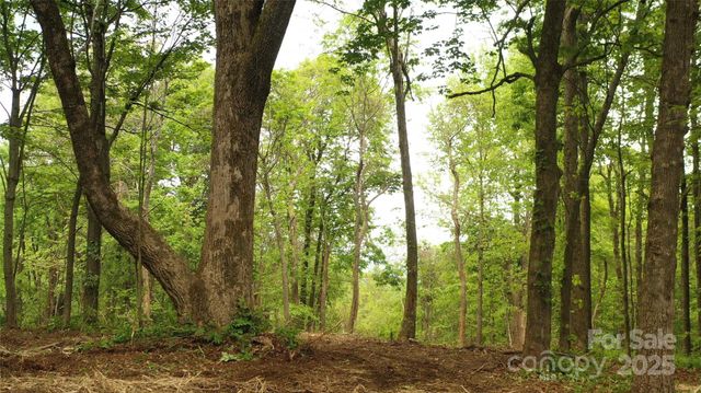 77 Misty Dawn Cove 4A, 5A & 13A, Hendersonville, NC 28792