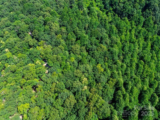 77 Misty Dawn Cove 4A, 5A & 13A, Hendersonville, NC 28792