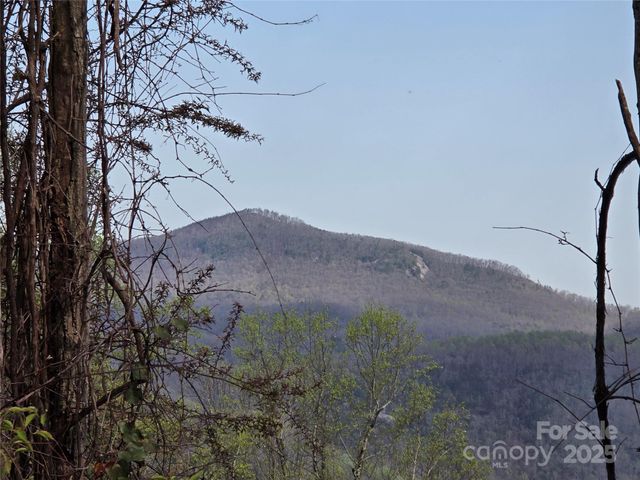 77 Misty Dawn Cove 4A, 5A & 13A, Hendersonville, NC 28792