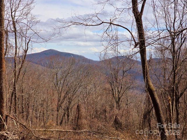 77 Misty Dawn Cove 4A, 5A & 13A, Hendersonville, NC 28792