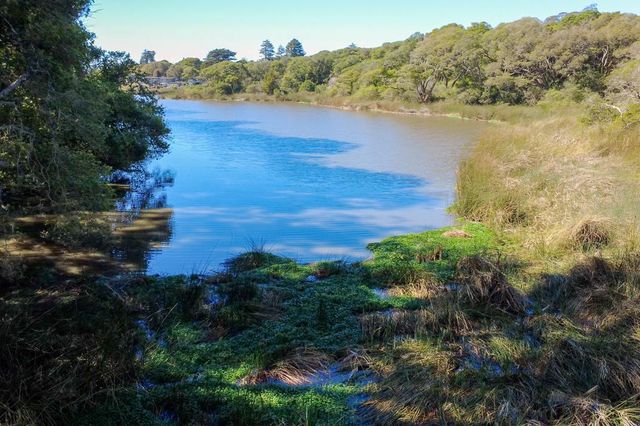 755 14th Avenue 308, Santa Cruz, CA 95062