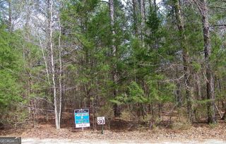 LOT 30 Benjamin Brown Court, Elberton, GA 30635