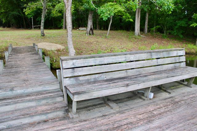 1277 Ackerman Drive, Summerton, SC 29148
