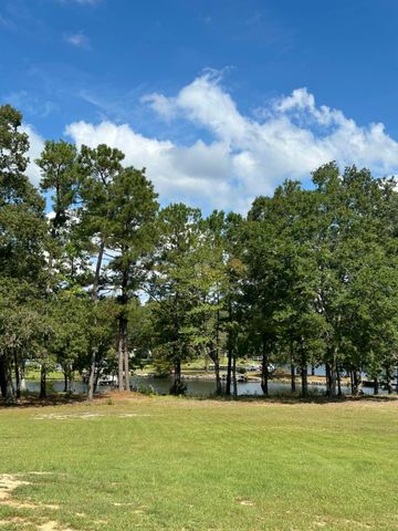 1277 Ackerman Drive, Summerton, SC 29148