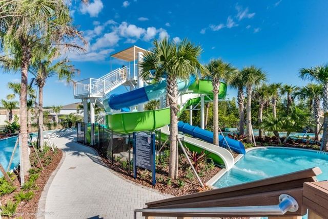 1320 LAVA TREE DR, Davenport, FL 33897