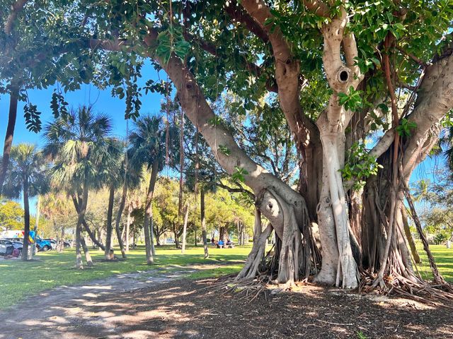 101 S Golfview Road 1, Lake Worth Beach, FL 33460