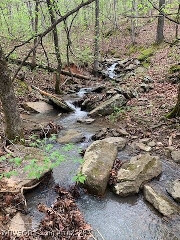 TBD Dollard Road, Mountainburg, AR 72946