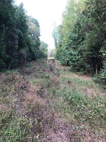 TBD Dollard Road, Mountainburg, AR 72946