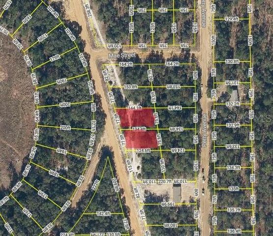 DONOVAN AVE, Interlachen, FL 32148