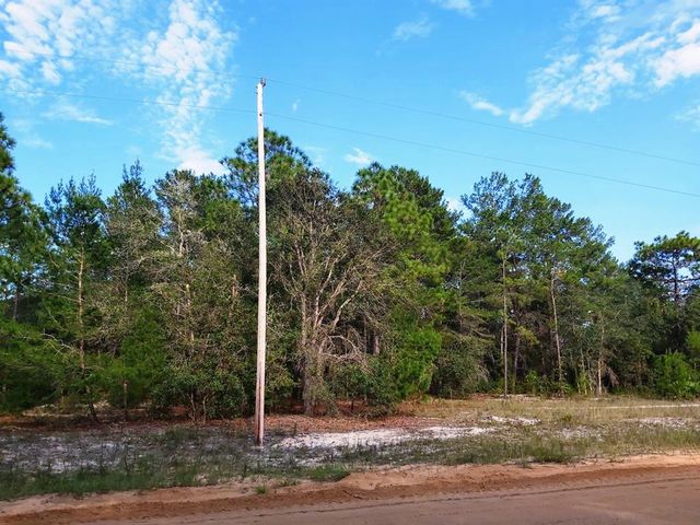 DONOVAN AVE, Interlachen, FL 32148