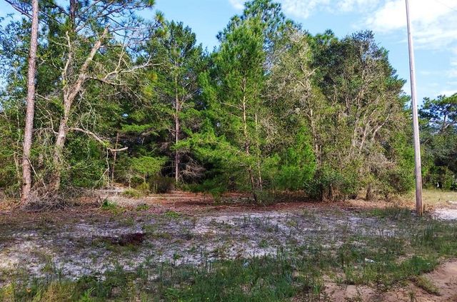 DONOVAN AVE, Interlachen, FL 32148