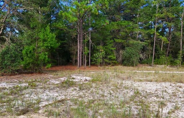 DONOVAN AVE, Interlachen, FL 32148