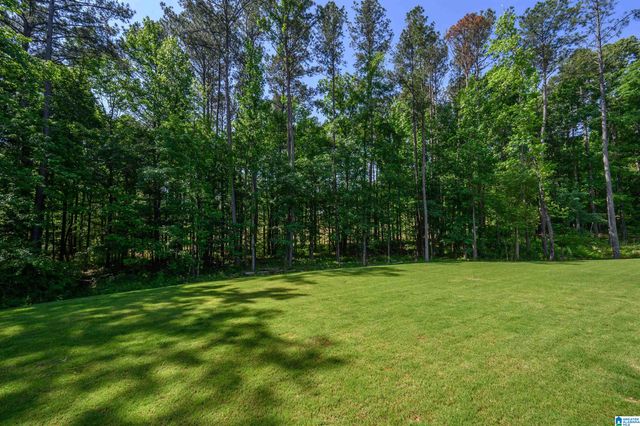 1728 GLASSCOTT TRAIL, Hoover, AL 35226
