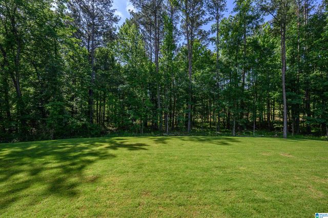 1728 GLASSCOTT TRAIL, Hoover, AL 35226