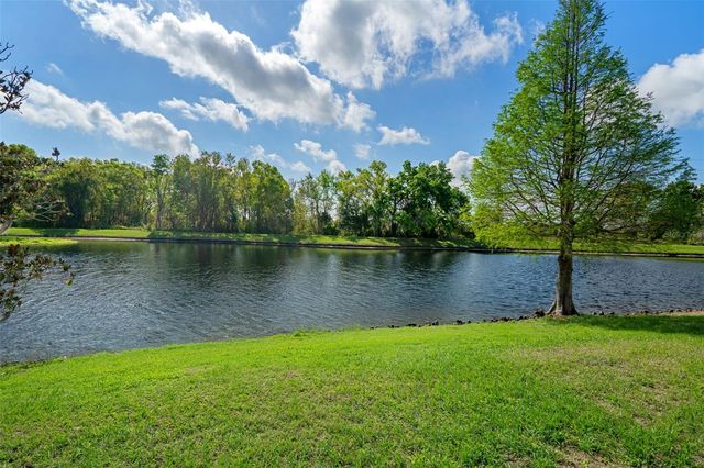 31812 SPOONFLOWER CIRCLE, Wesley Chapel, FL 33545