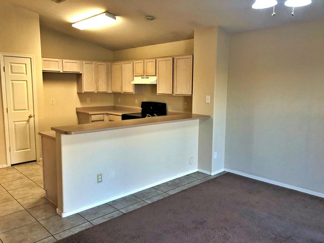 1719 S Pinto Drive, Apache Junction, AZ 85120
