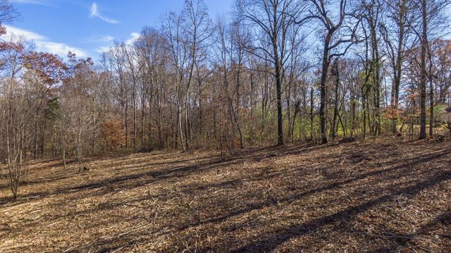 7368 Overbey Rd, Fairview, TN 37062