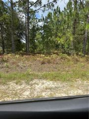 00 Heritage Circle, Hortense, GA 31543