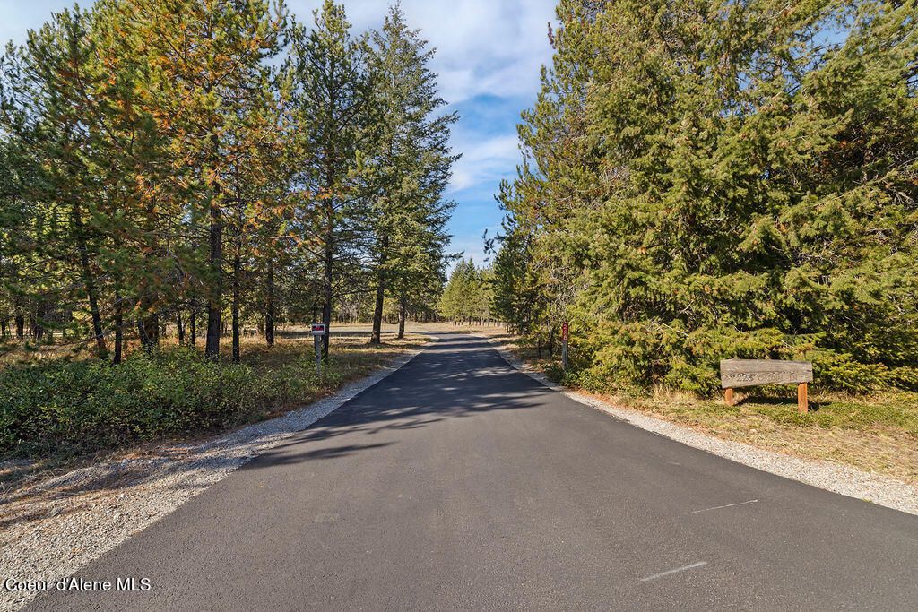 228 Cardinal LN, Spirit Lake, ID 83869 photo 4