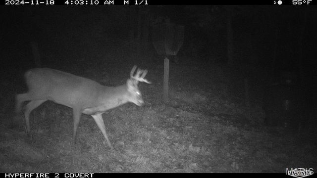 14912 State Hwy 96, Nebo, IL 62355