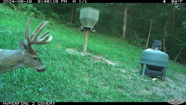 14912 State Hwy 96, Nebo, IL 62355