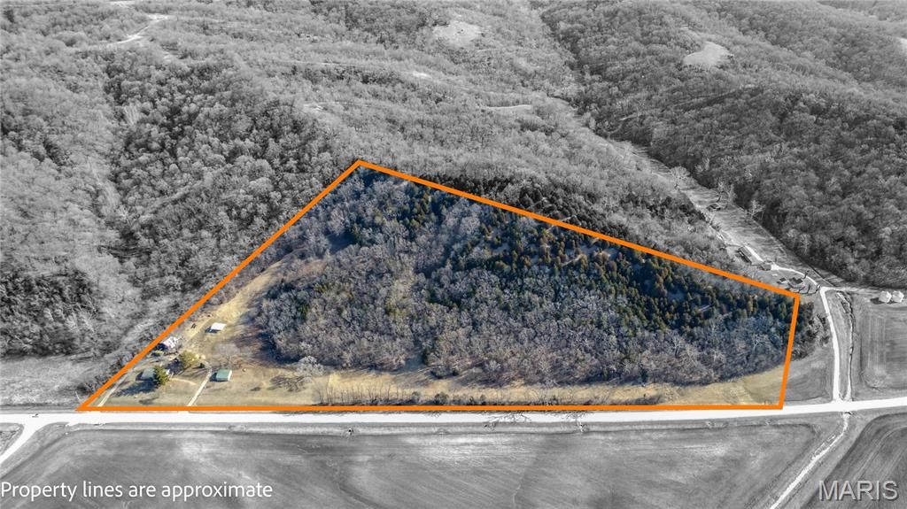 14912 State Hwy 96, Nebo, IL 62355