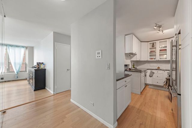1550 N Lake Shore Drive 17B, Chicago, IL 60610